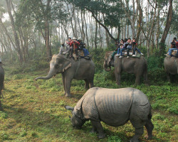 wildlife-tour-of-nepal